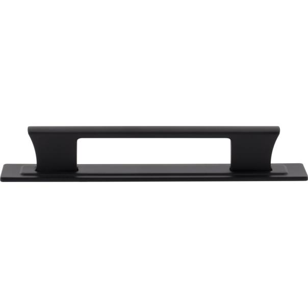 Atlas Homewares Zander Pull and Backplate
