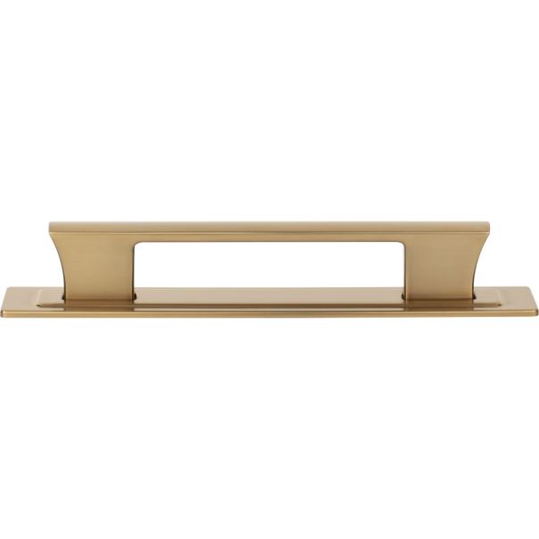 Atlas Homewares Zander Pull and Backplate