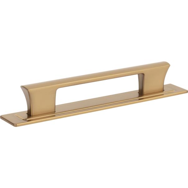 Atlas Homewares Zander Pull and Backplate