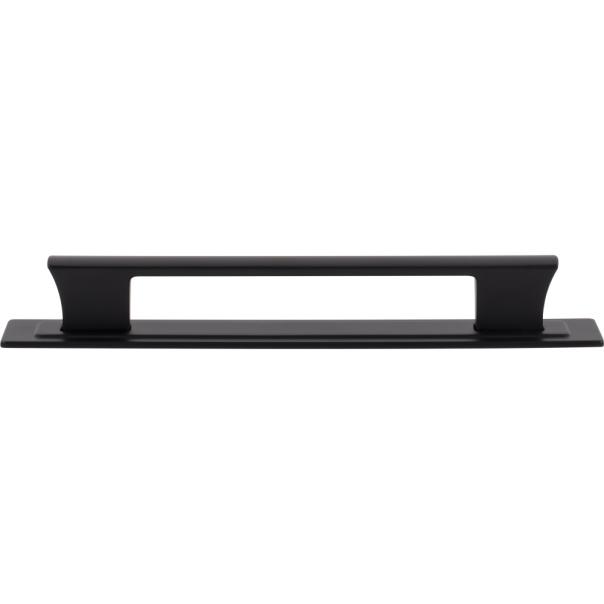 Atlas Homewares Zander Pull and Backplate