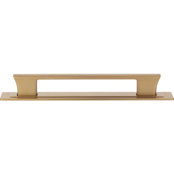 Atlas Homewares Zander Pull and Backplate