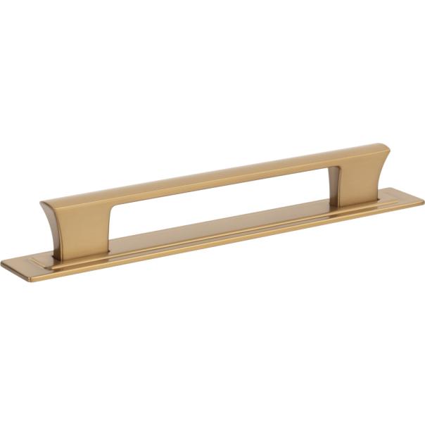 Atlas Homewares Zander Pull and Backplate