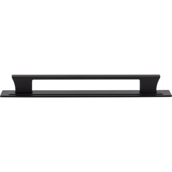 Atlas Homewares Zander Pull and Backplate