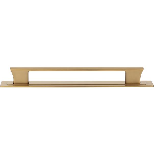 Atlas Homewares Zander Pull and Backplate