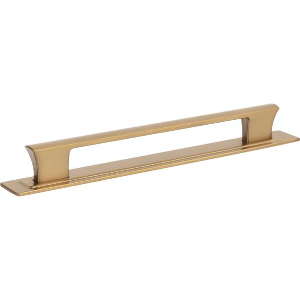 Atlas Homewares Zander Pull and Backplate