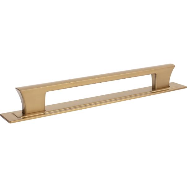 Atlas Homewares Zander App Pull and Backplate