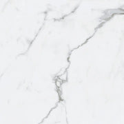 Bianco Venatino 24"x24" Unpolished
