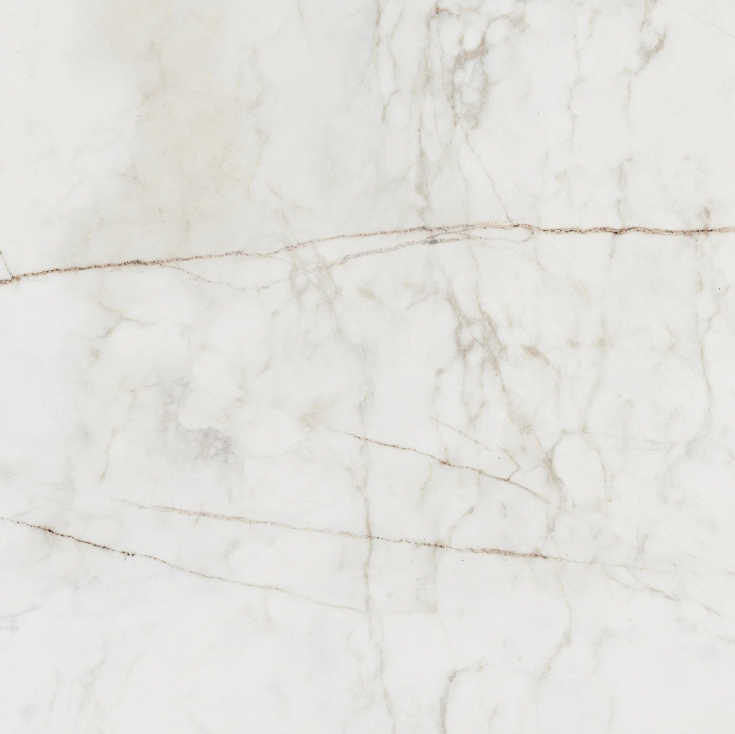 Balance White