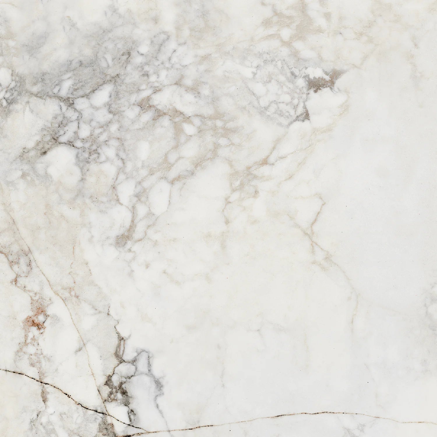 Balance White