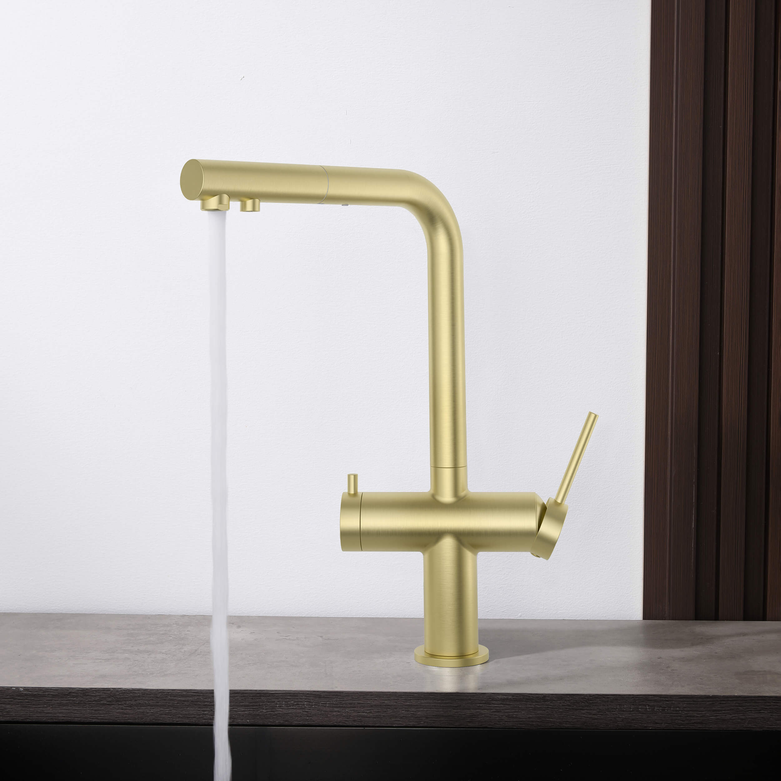 Halo 2-in-1 Pull Out Kitchen Filtration Faucet