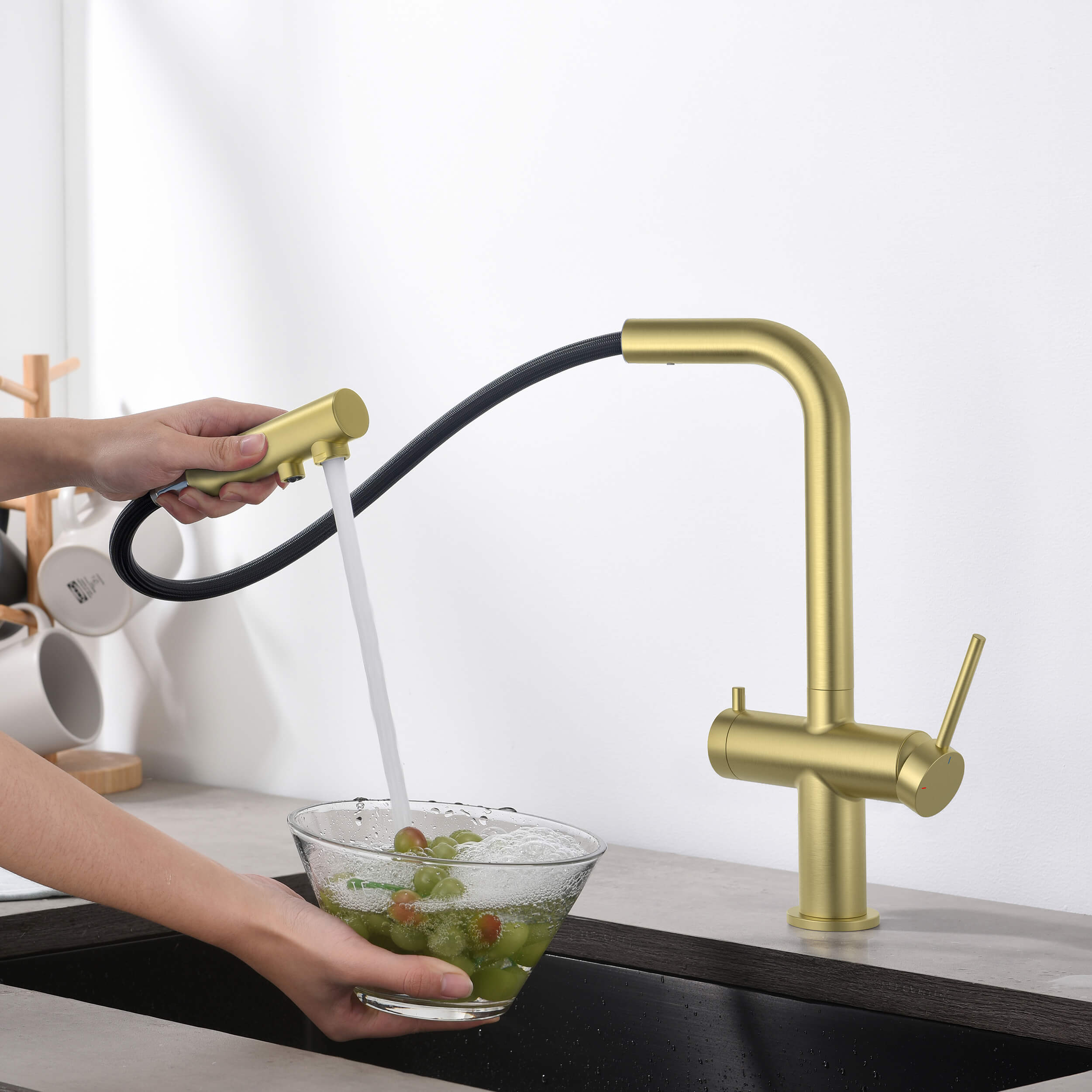 Halo 2-in-1 Pull Out Kitchen Filtration Faucet