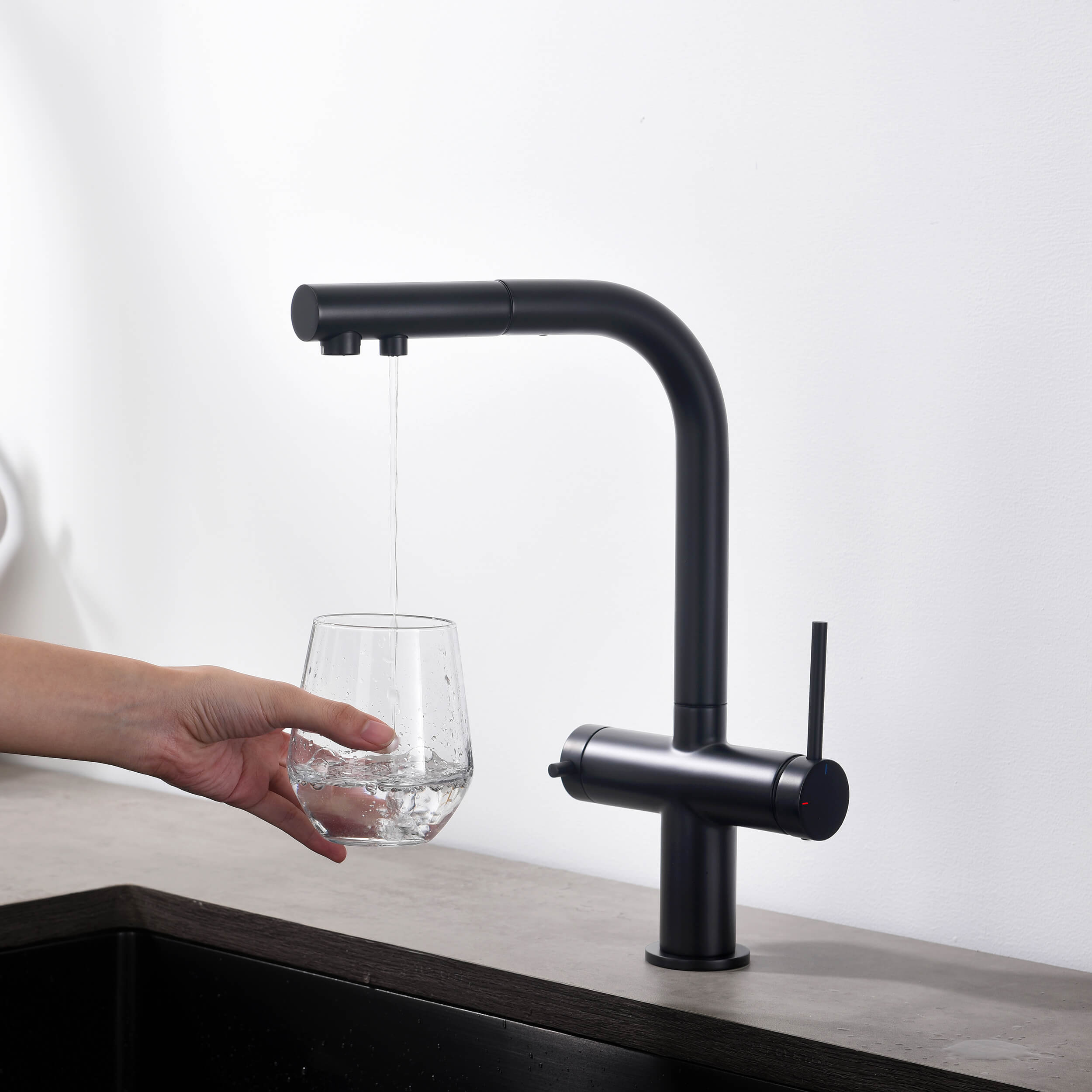 Halo 2-in-1 Pull Out Kitchen Filtration Faucet