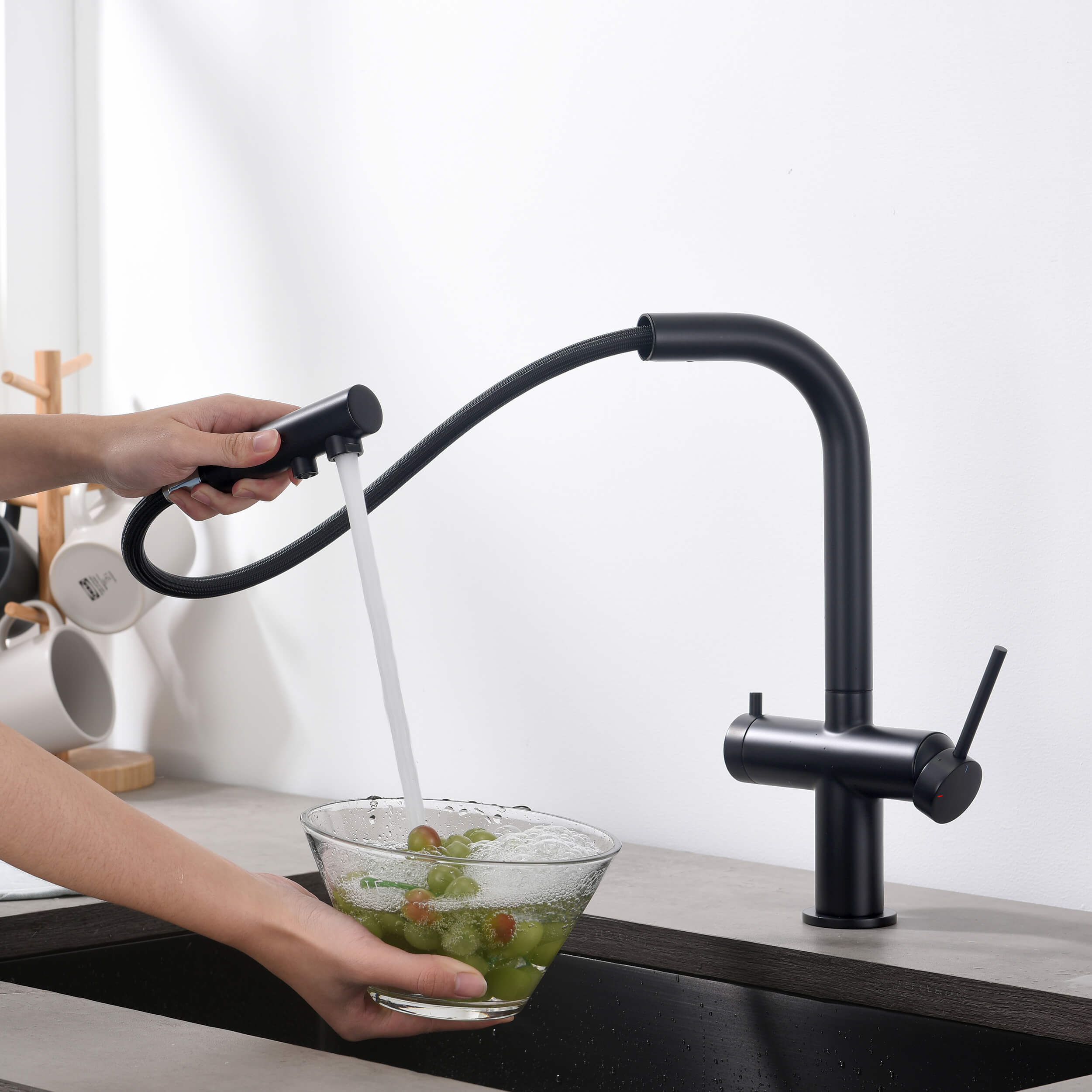 Halo 2-in-1 Pull Out Kitchen Filtration Faucet