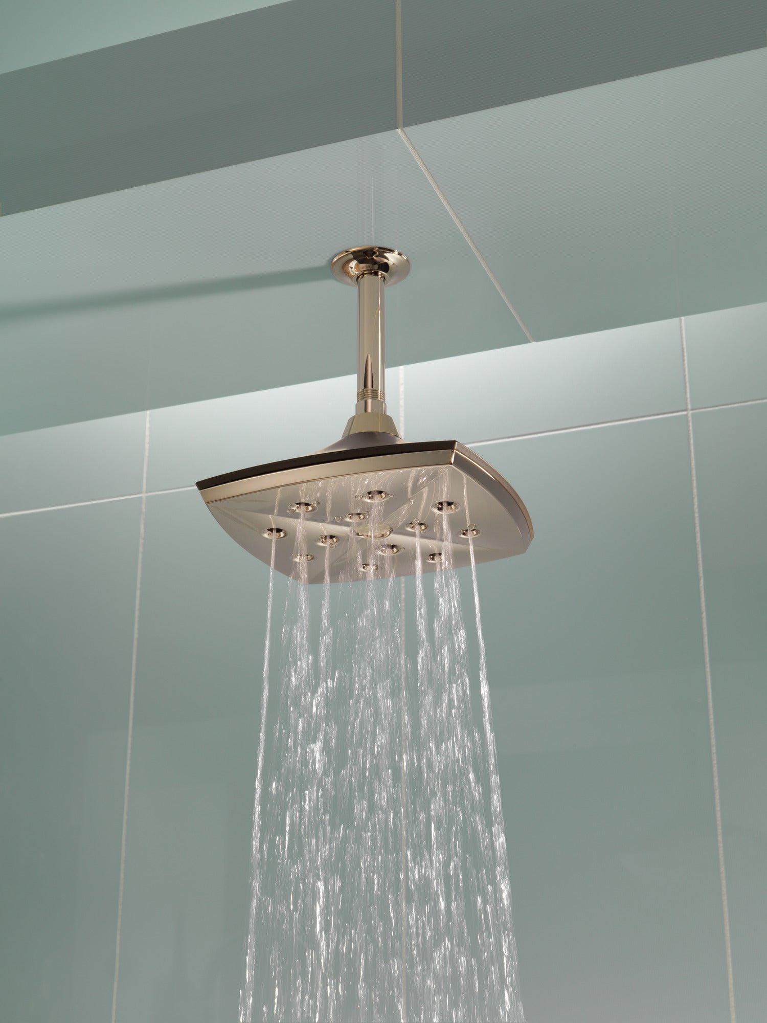 Brizo Essential™ Shower 6" Ceiling Mount Shower Arm And Round Flange