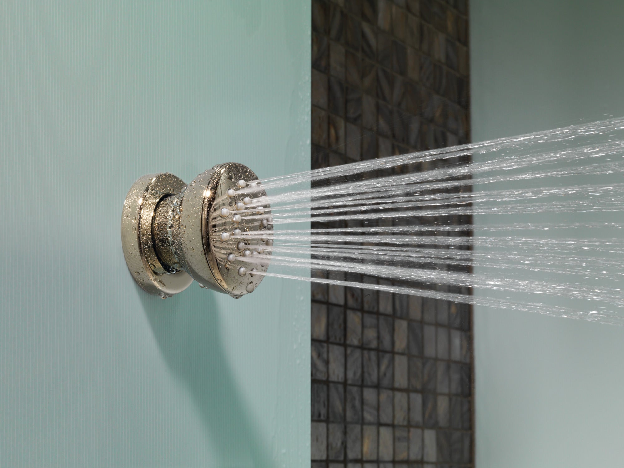 Brizo Essential™ Shower Touch-Clean® Round Body Spray