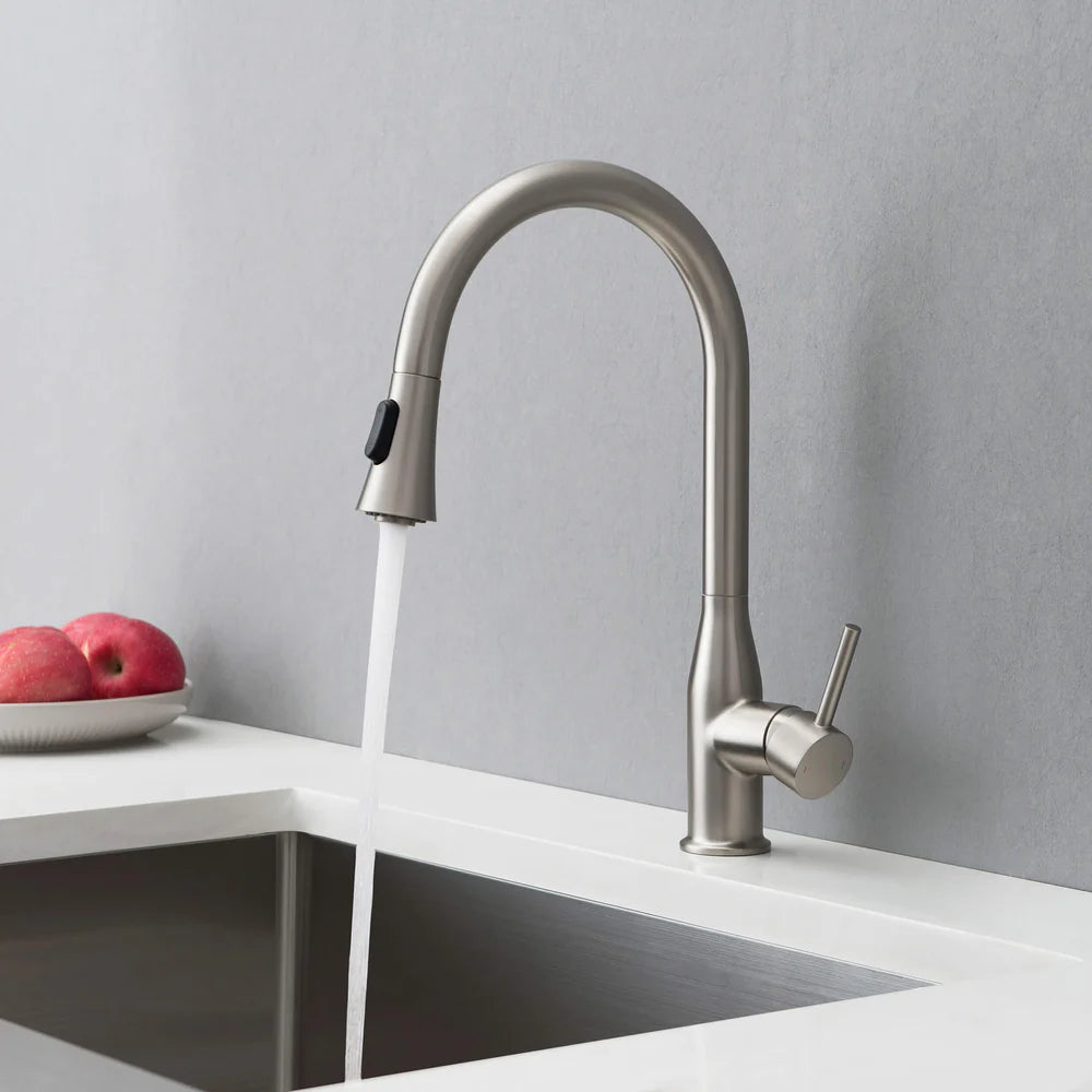 Mesa Single Handle Pull Down Kitchen Sink Faucet