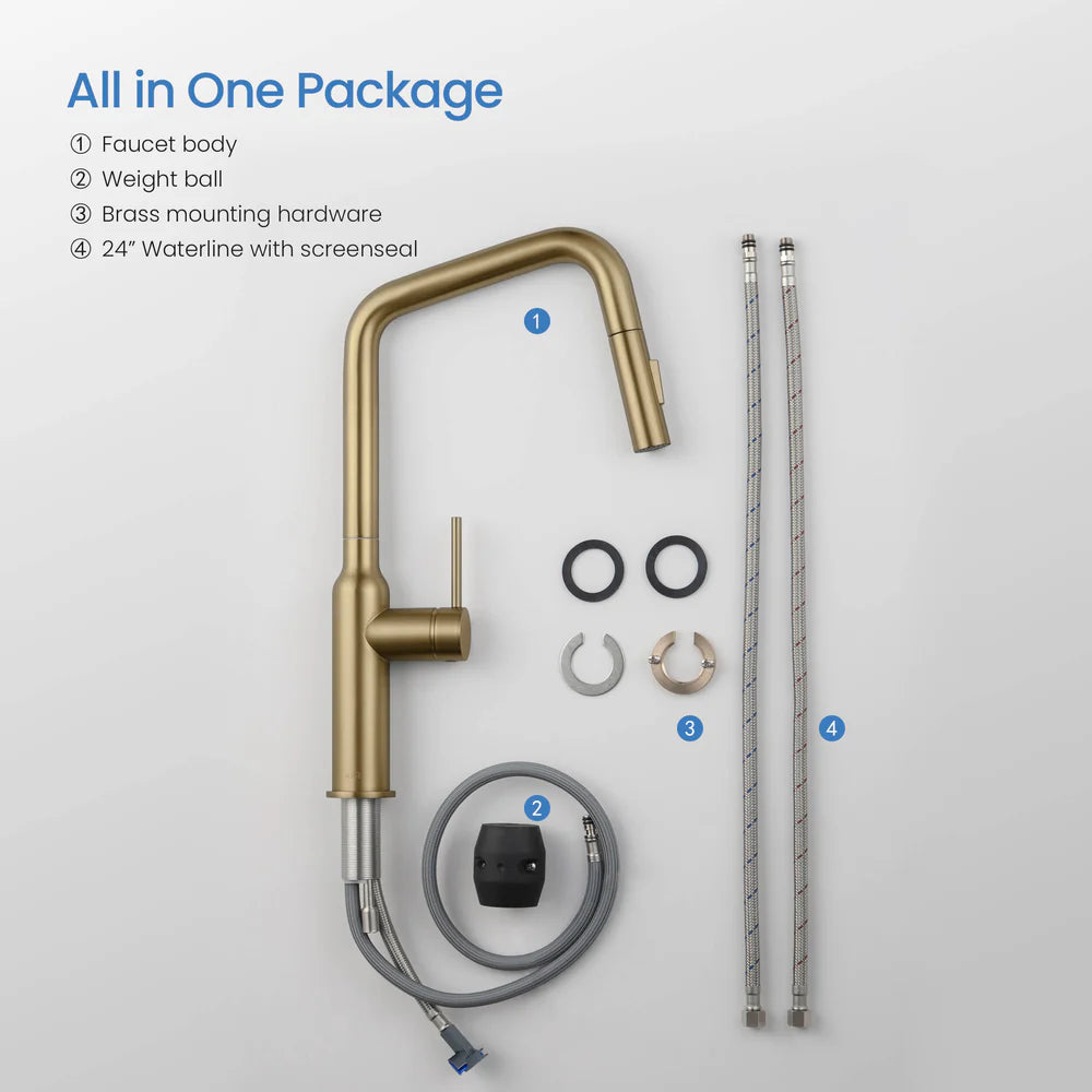 Tampa Single Handle Pull Down Kitchen Sink Faucet