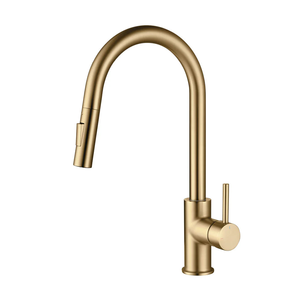 Halo Single Handle Pull Down Kitchen Faucet