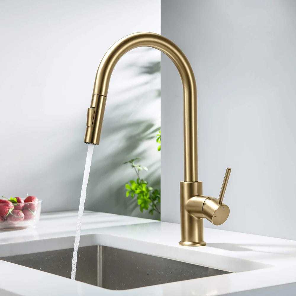 Halo Single Handle Pull Down Kitchen Faucet