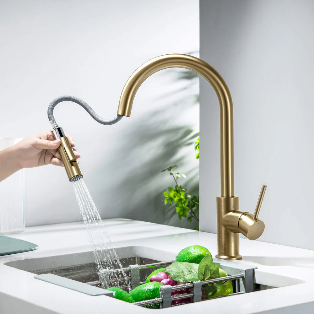 Halo Single Handle Pull Down Kitchen Faucet