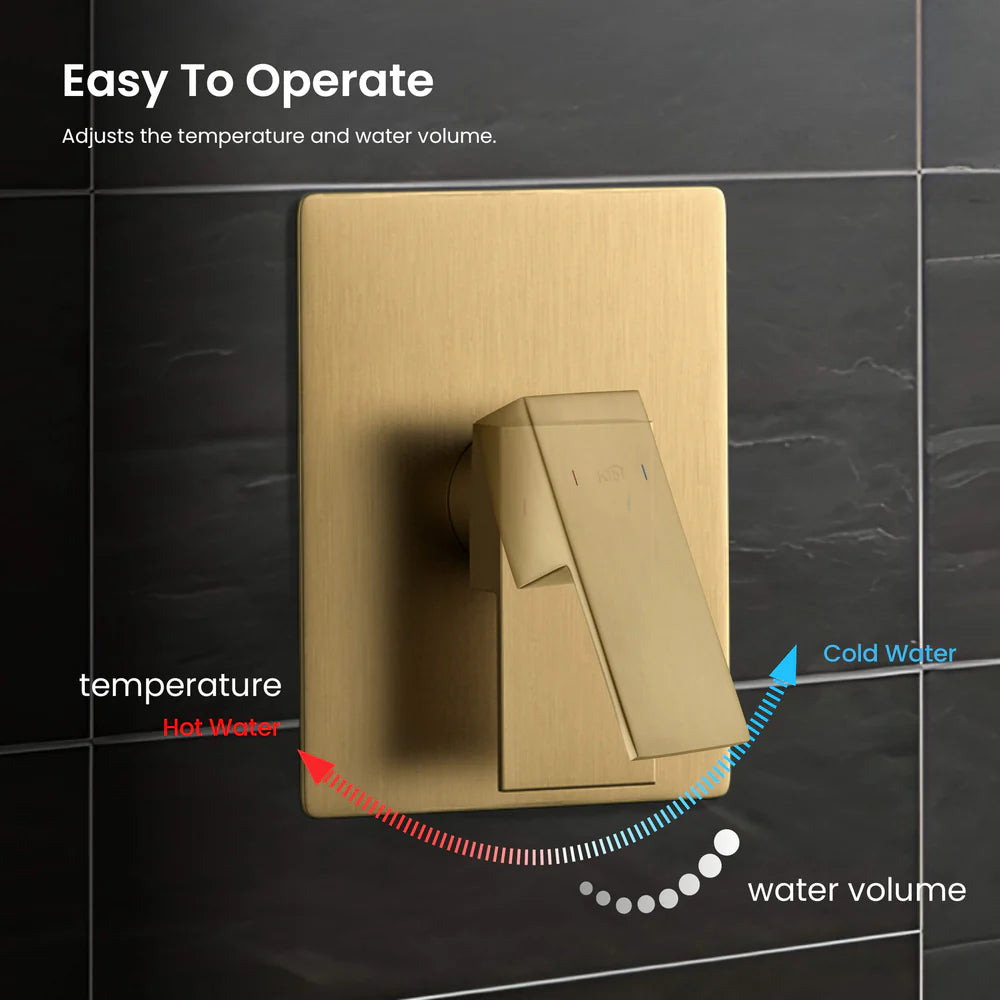 Quadra Pressure Balanced 2-Function Shower Column with Rough In Valve