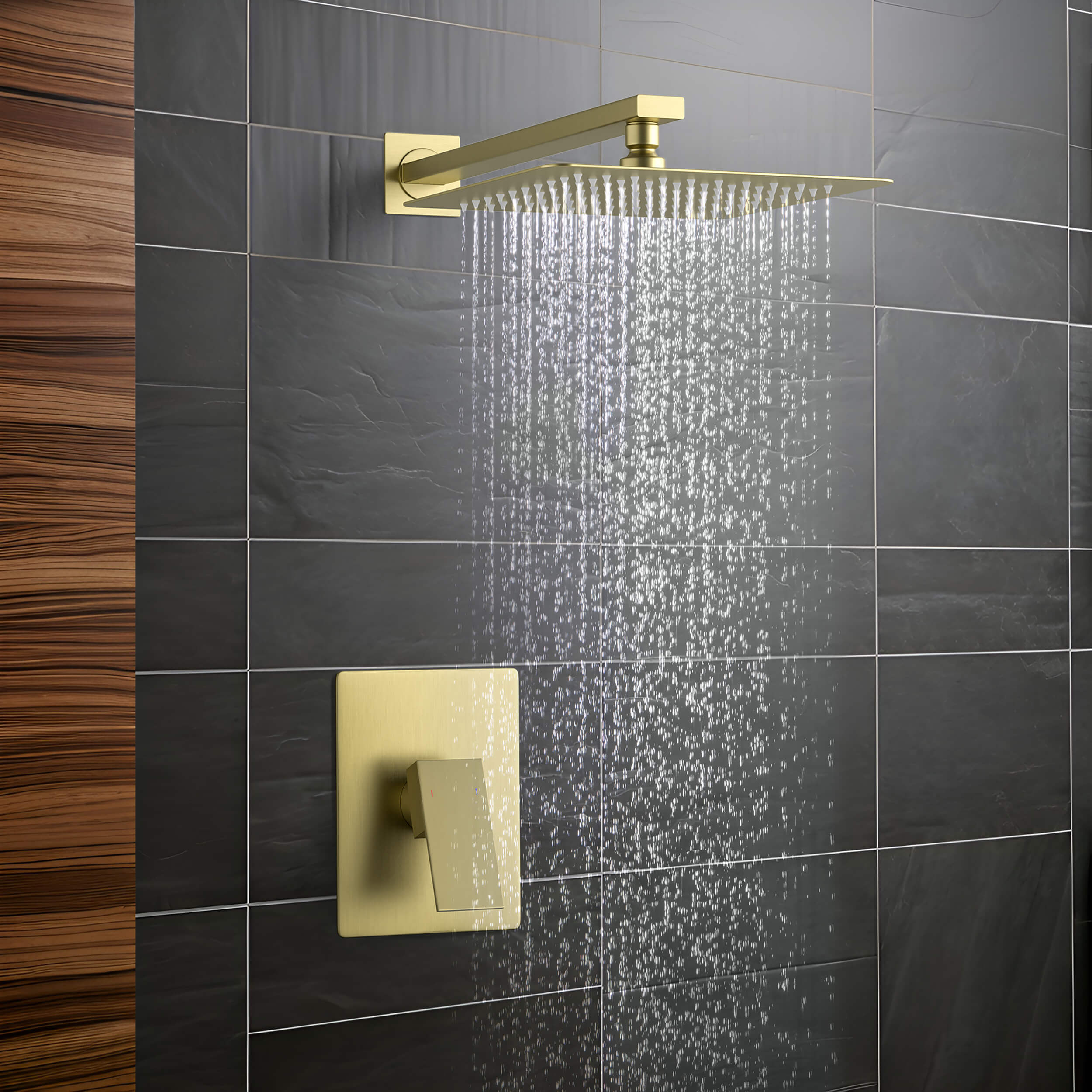 Quadra Pressure Balanced Single Function Shower System with Rough-In Valve
