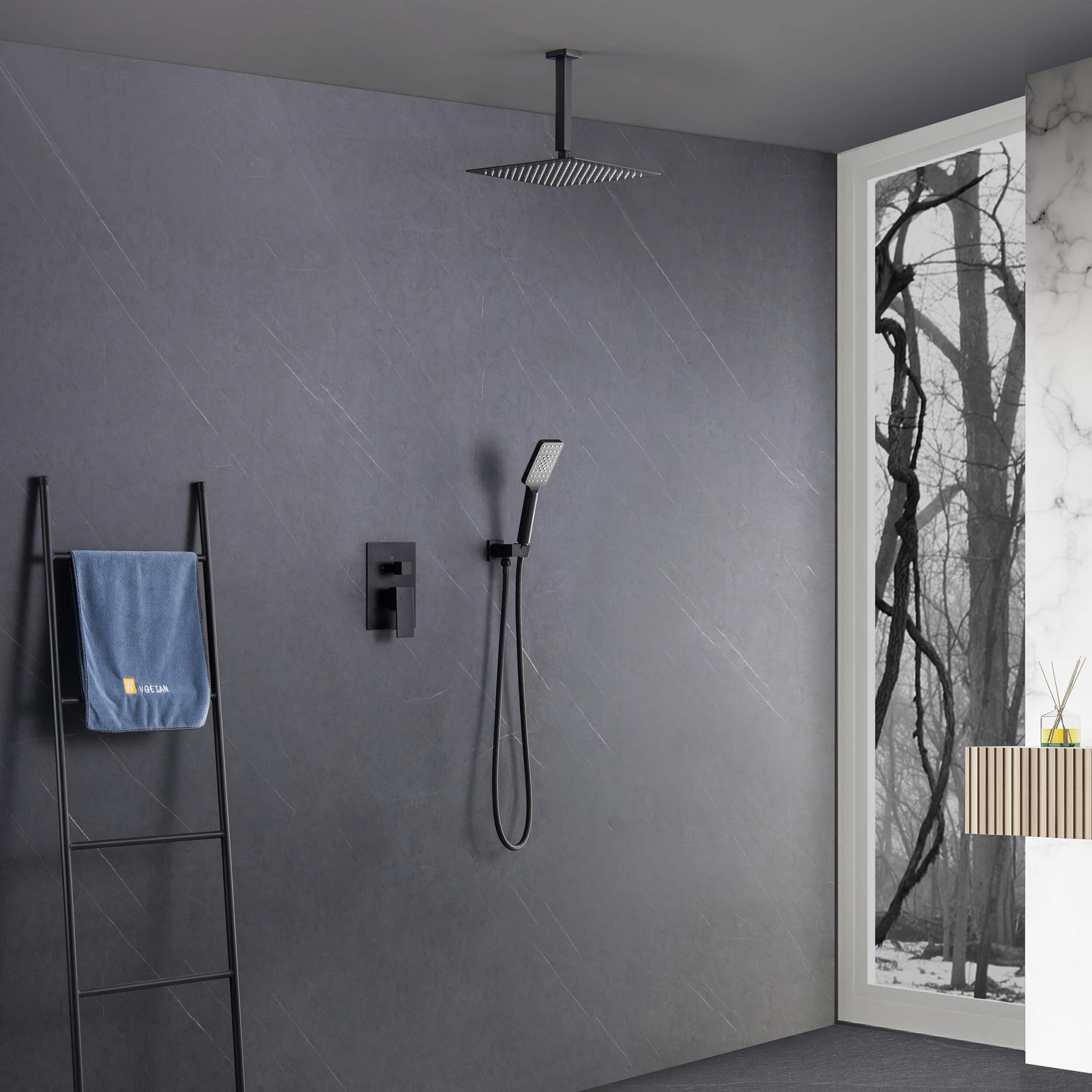 Quadra Pressure Balanced 2-Function Ceiling Mount Shower System with Rough-In Valve