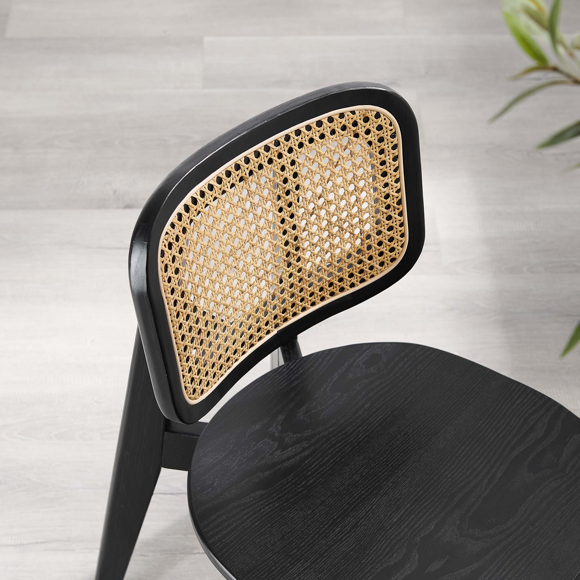 Modway Habitat Wood Dining Side Chair Set of 2