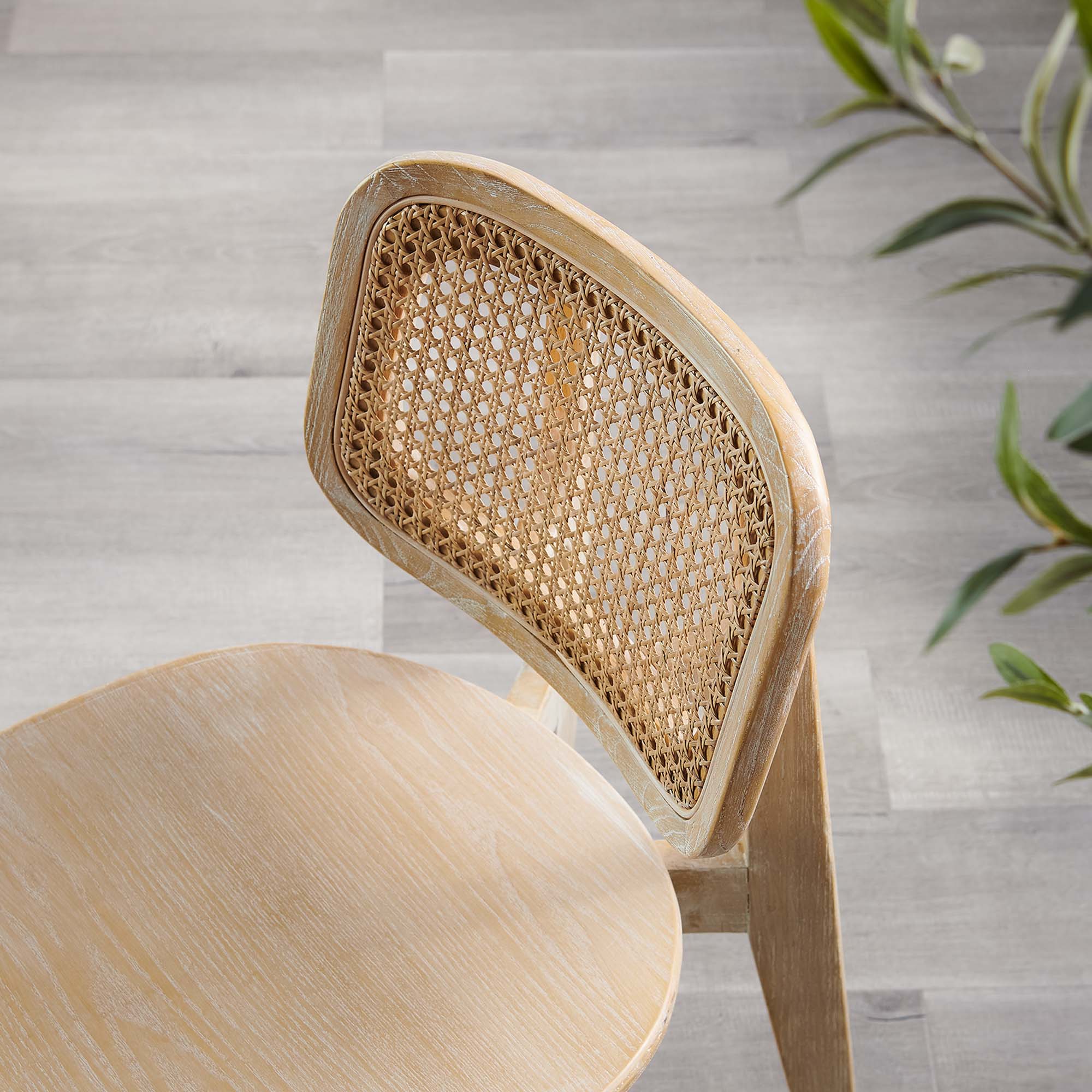 Modway Habitat Wood Dining Side Chair Set of 2