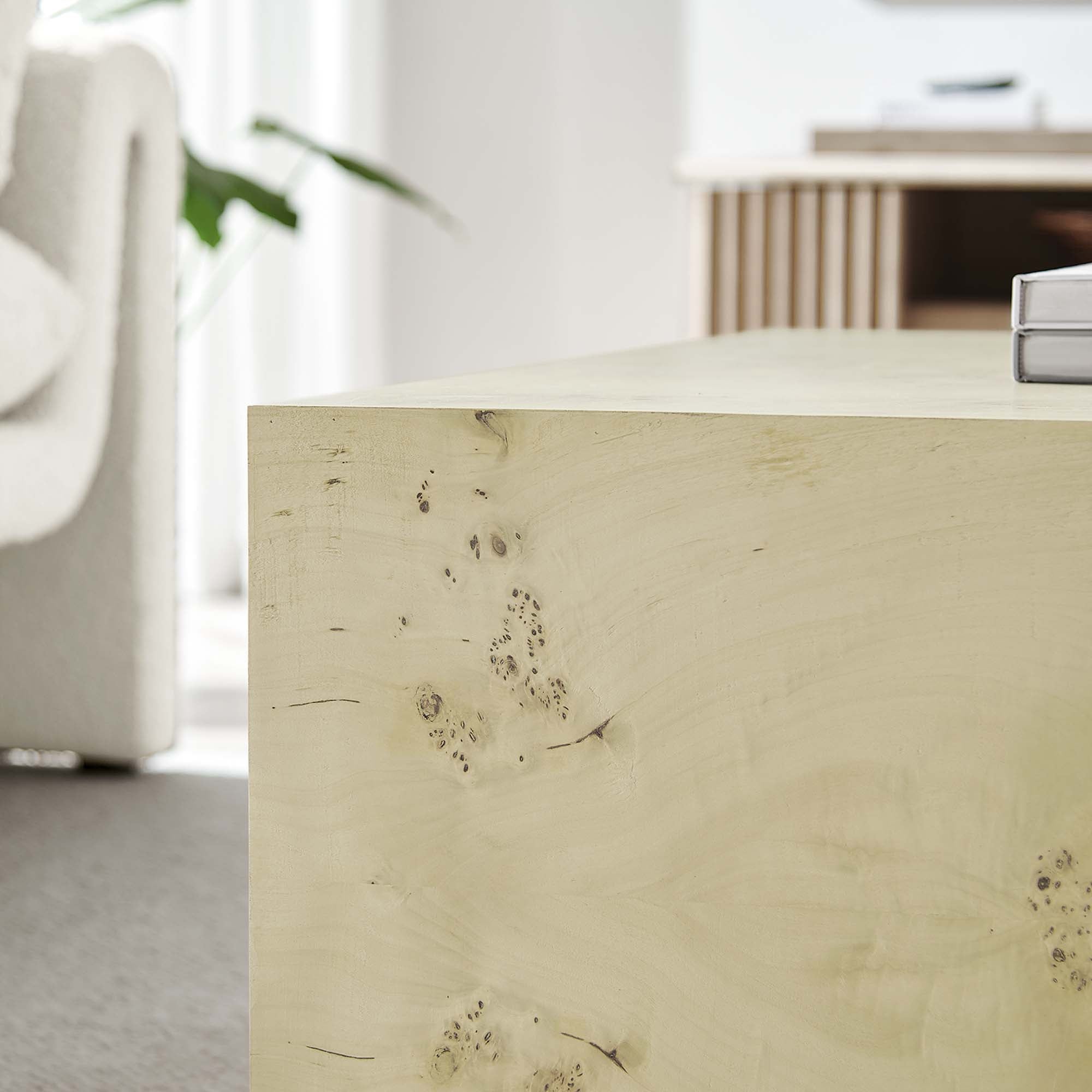 Modway Cosmos 36" Square Burl Wood Coffee Table