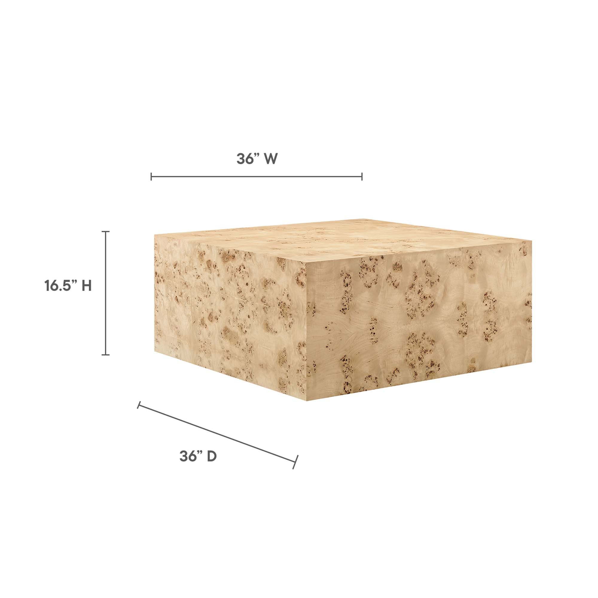 Modway Cosmos 36" Square Burl Wood Coffee Table
