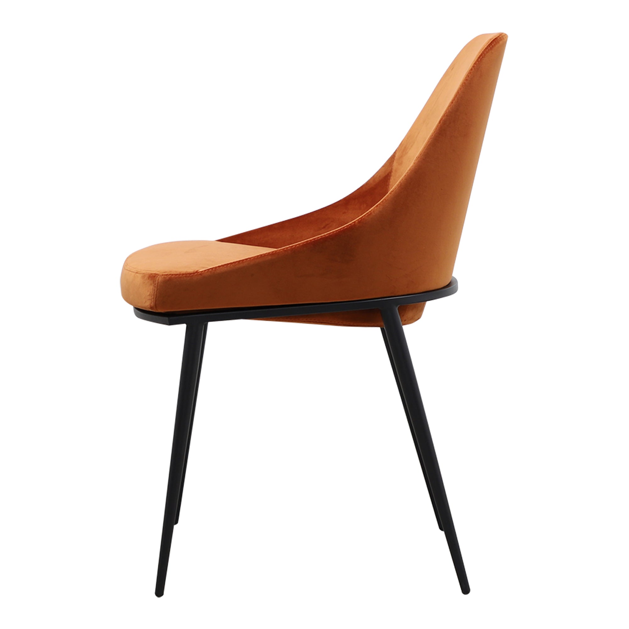 Moes Sedona Dining Chair Amber - Set Of Two EJ-1034-12