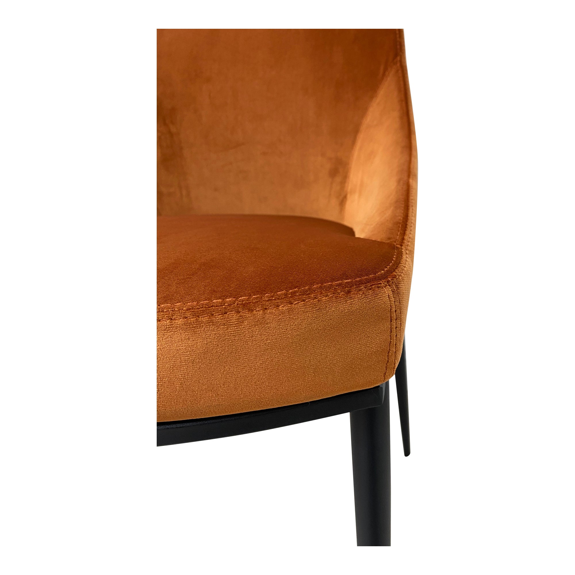 Moes Sedona Dining Chair Amber - Set Of Two EJ-1034-12