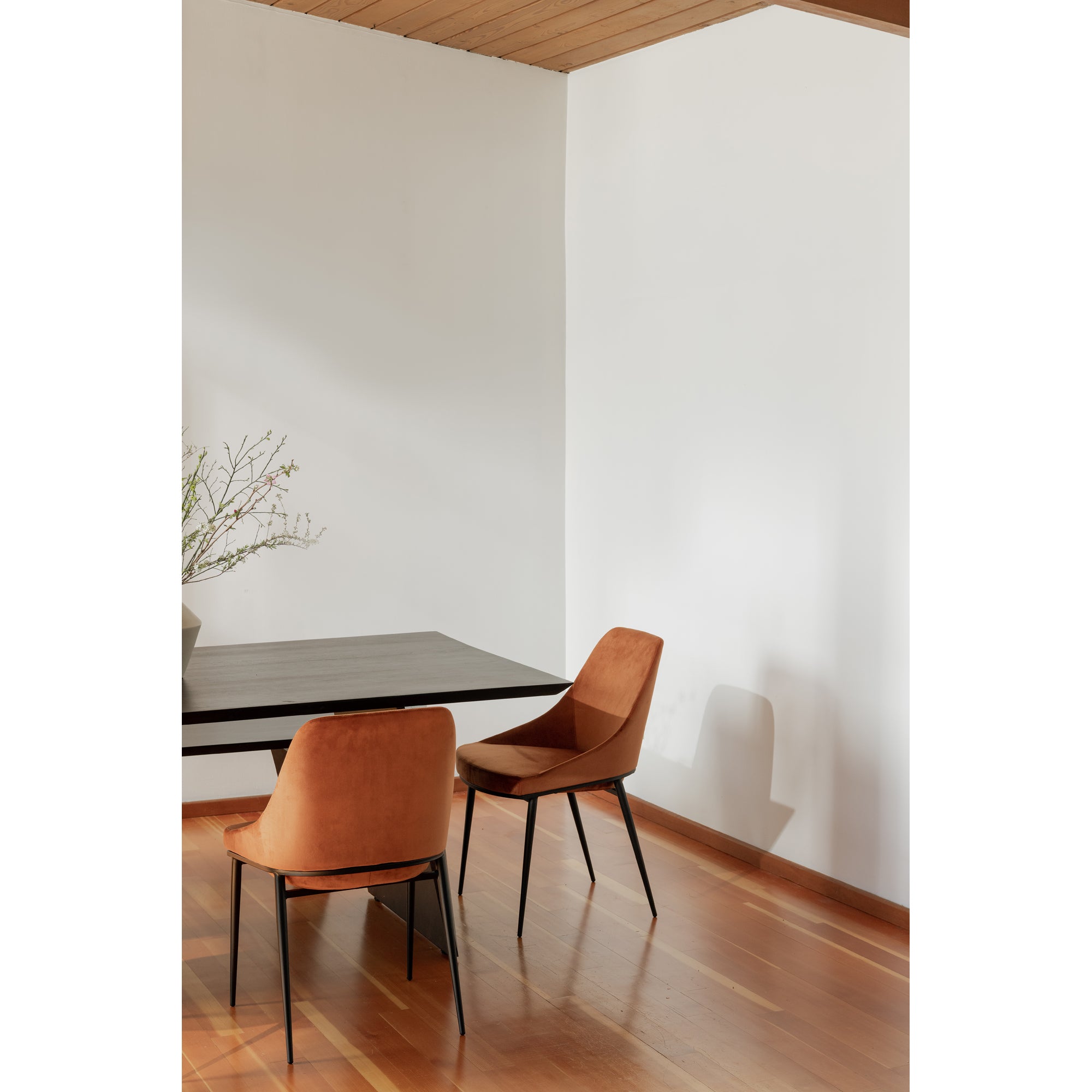 Moes Sedona Dining Chair Amber - Set Of Two EJ-1034-12