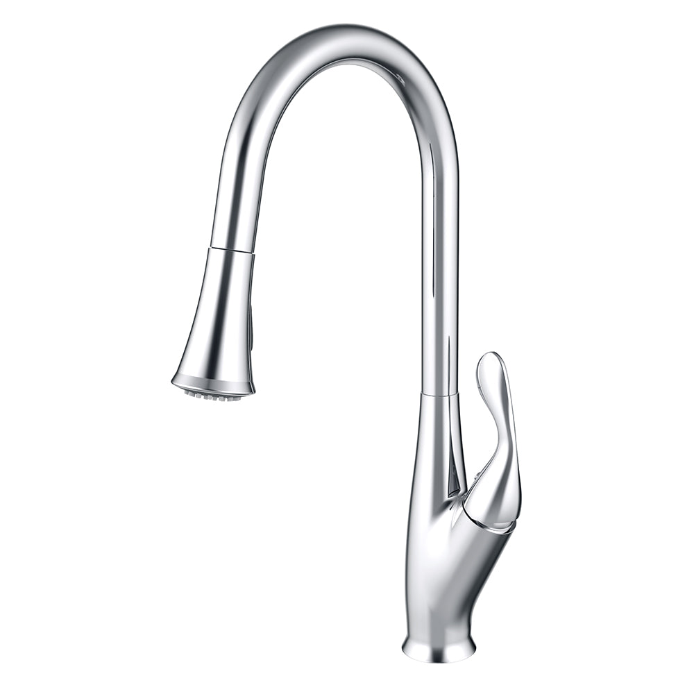 Daweier Single-Lever Pull Out Kitchen Faucet EK7065118C