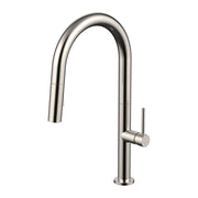 Daweier Single-Lever Pull Out Kitchen Faucet EK722701BN