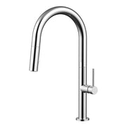 Daweier Single-Lever Pull Out Kitchen Faucet EK722701C