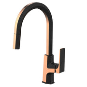 Daweier Single-Lever Pull Out Kitchen Faucet with Dual Function Spray Head EK7234271RGB
