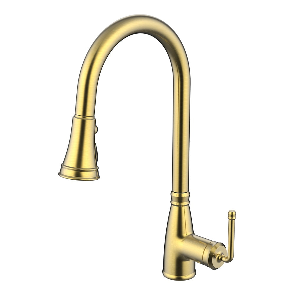 Daweier Single-Lever Pull Out Kitchen Faucet with Dual Function Spray Head EK7267320BG