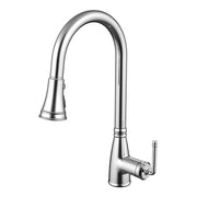 Daweier Single-Lever Pull Out Kitchen Faucet with Dual Function Spray Head EK7267320C