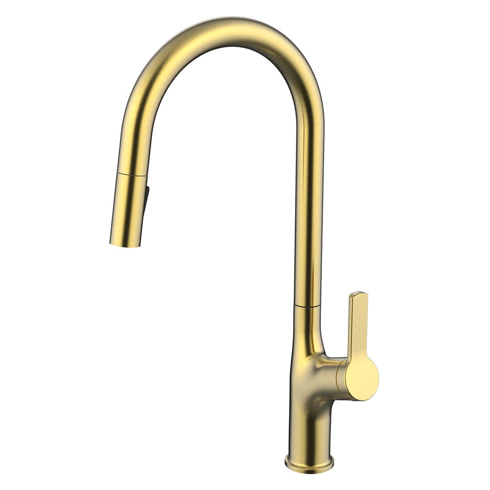 Daweier Single-Lever Pull Out Kitchen Faucet with Dual Function Spray Head EK7268321BG
