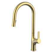 Daweier Single-Lever Pull Out Kitchen Faucet with Dual Function Spray Head EK7268321BG