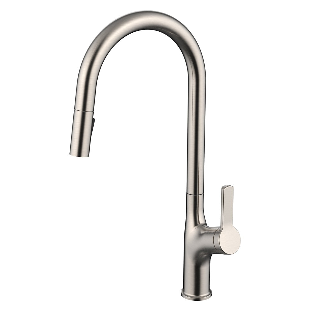 Daweier Single-Lever Pull Out Kitchen Faucet with Dual Function Spray Head EK7268321BN