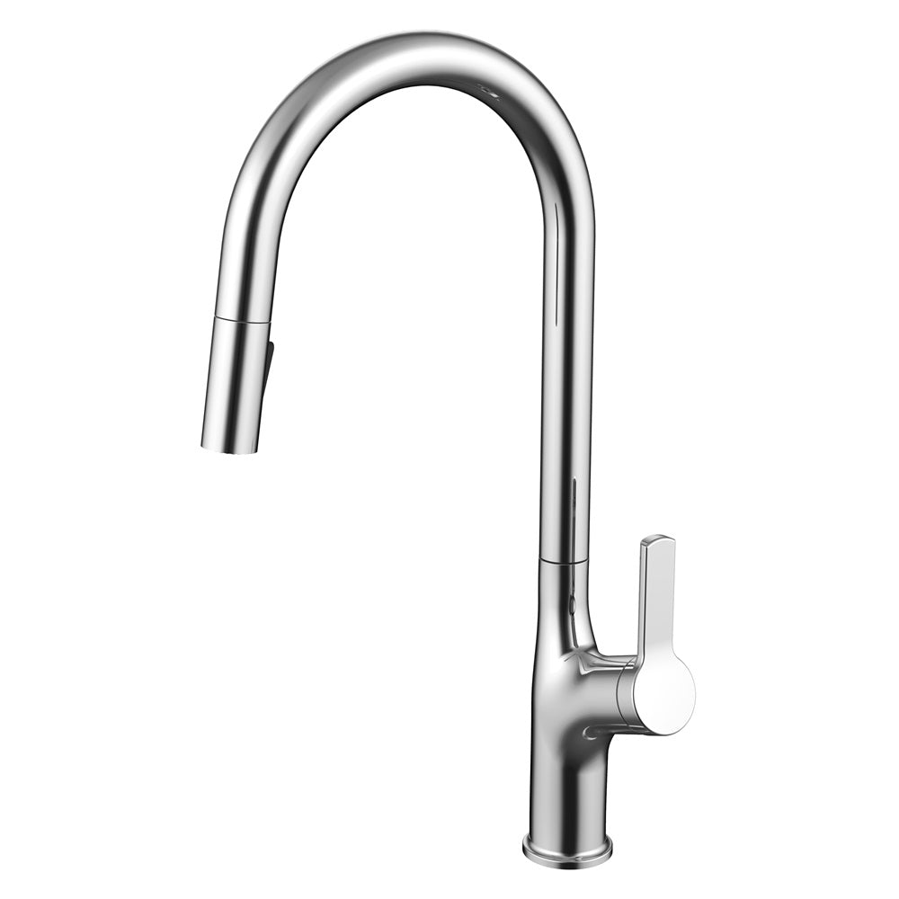 Daweier Single-Lever Pull Out Kitchen Faucet with Dual Function Spray Head EK7268321C