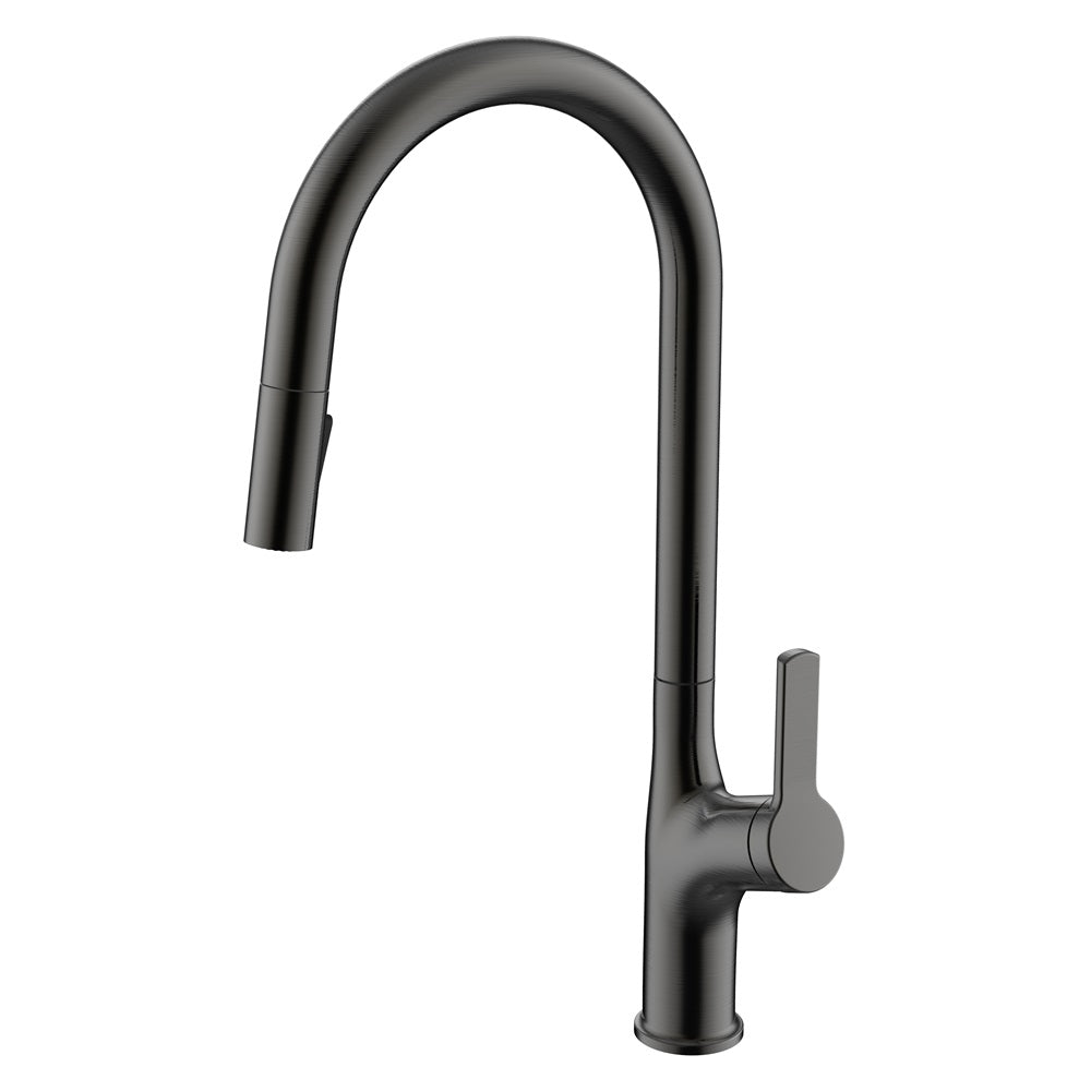 Daweier Single-Lever Pull Out Kitchen Faucet with Dual Function Spray Head EK7268321GMB