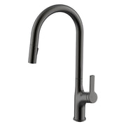 Daweier Single-Lever Pull Out Kitchen Faucet with Dual Function Spray Head EK7268321GMB