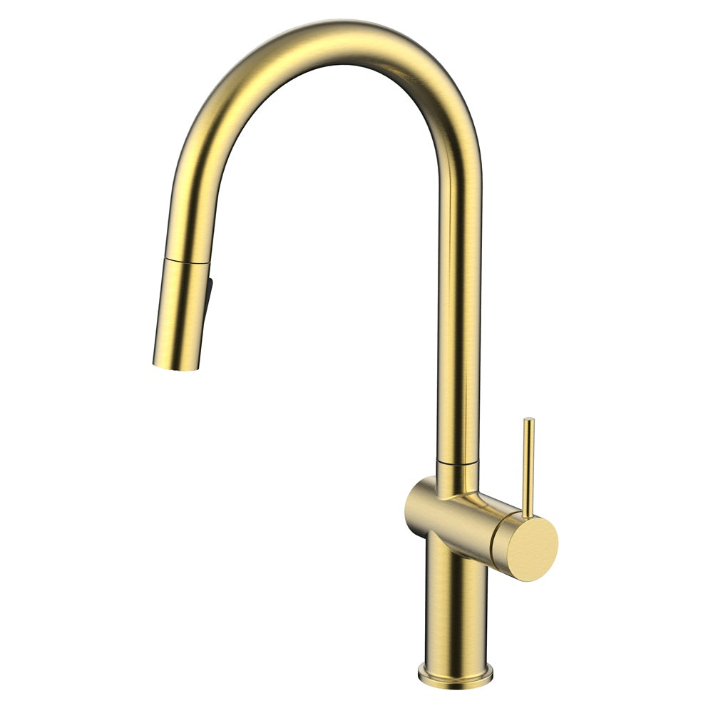 Daweier Single-Lever Pull Out Kitchen Faucet with Dual Function Spray Head EK7283132BG