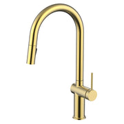 Daweier Single-Lever Pull Out Kitchen Faucet with Dual Function Spray Head EK7283132BG