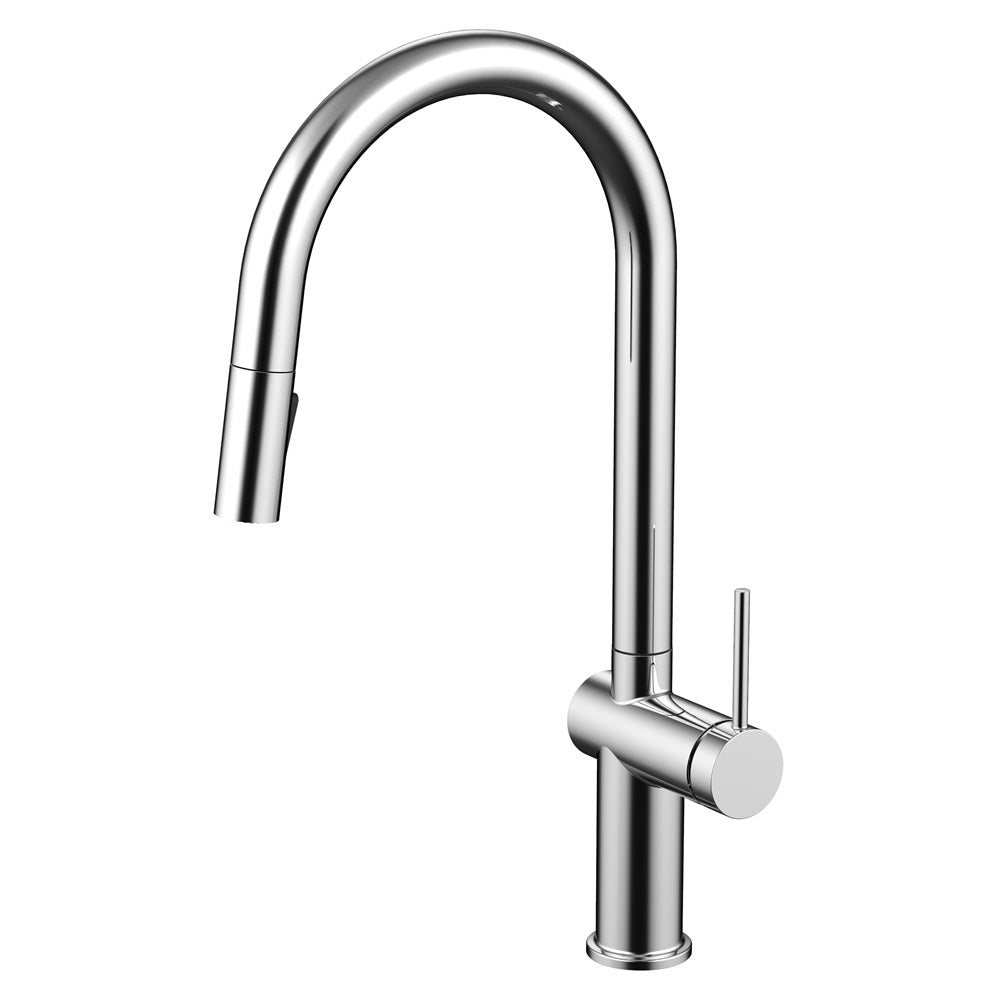 Daweier Single-Lever Pull Out Kitchen Faucet with Dual Function Spray Head EK7283132C