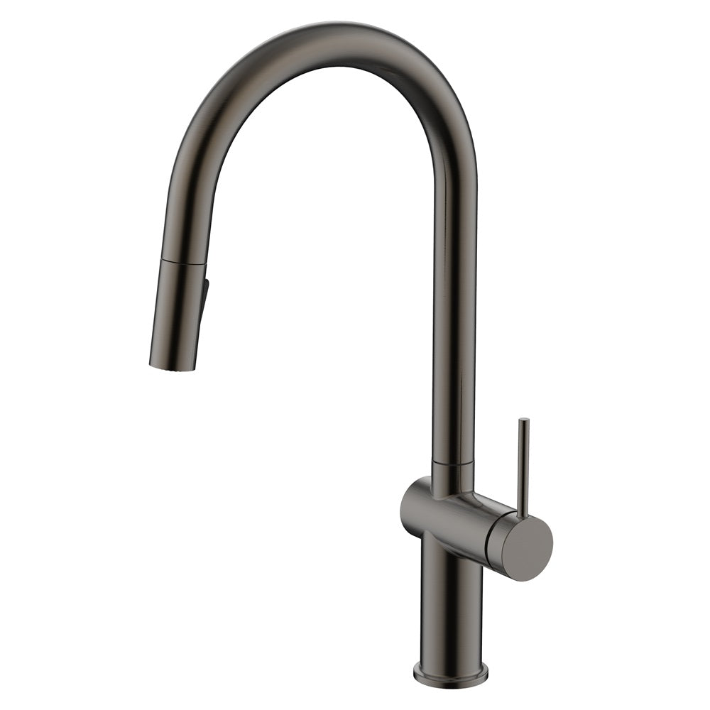 Daweier Single-Lever Pull Out Kitchen Faucet with Dual Function Spray Head EK7283132GMB